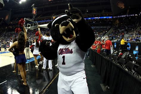 The Black Bear Mascot: A Symbol of Resilience and Determination at Ole Miss